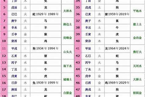 文公尺 長庫 2001年生肖五行